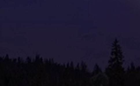 �Ԛ��־���������f�f