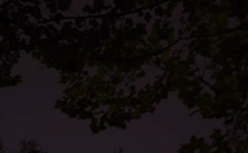 2025�����P���������Z�Z�31�l