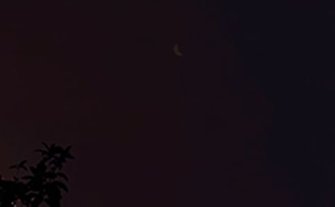 2023�ꌍ�õ�����ϵ����QQ�����Z79�l