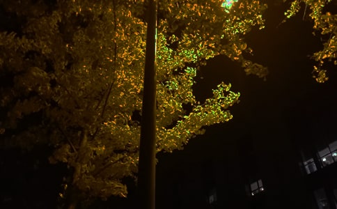 �P(gu��n)��ů�������f�f��ȫ��ͨ��120�䣩