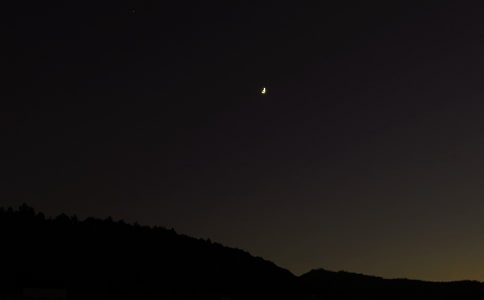 �����f�����������f�f