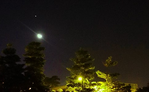 ����������f�f460��