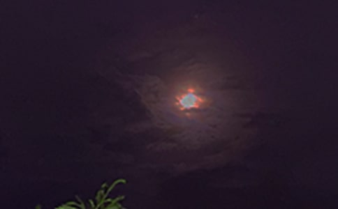 [��(sh��)��]���������Z(y��)