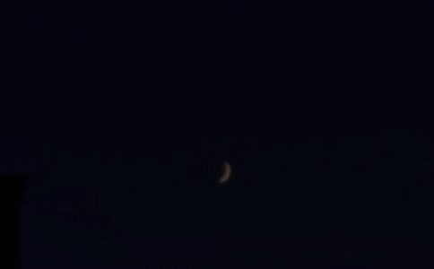 2024�꾫�x��ů�����������Z�Z�ժ�65�l