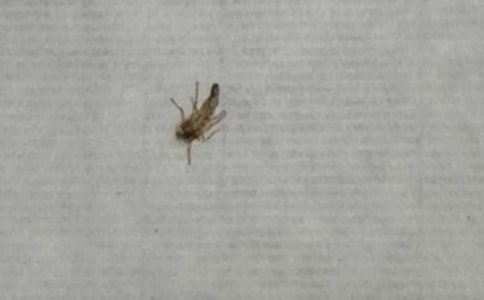 ������200��С�W��ӛ