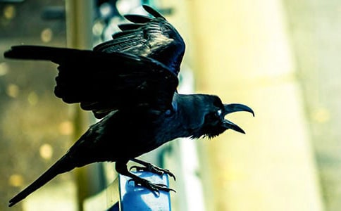 �����f��ˮ����x���⼰��