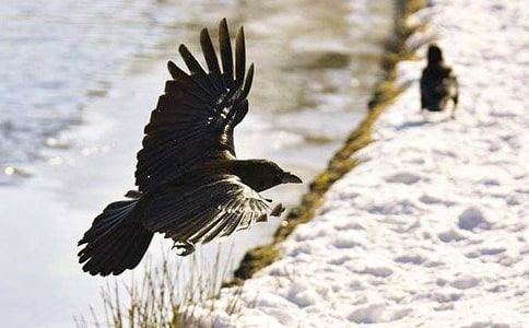 ��С���f�ۋ������̰�15ƪ