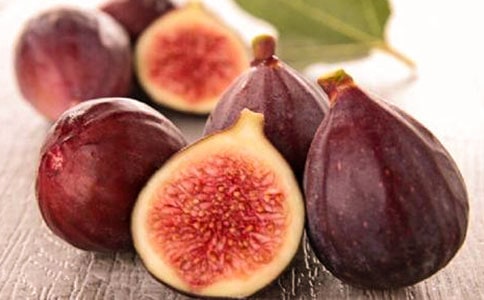 觀察無花果樹作文