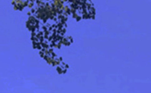 �����簲���Z��ȫ��ͨ��100�䣩