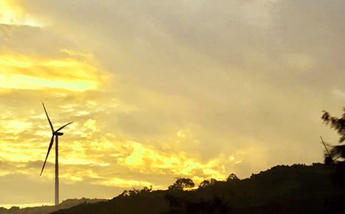 �������簲�Z(y��)�������