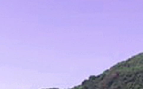 朋友圈午安短句40句精選