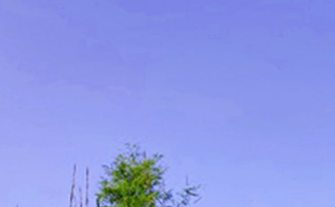 �����ܰ�簲���Դ�ȫ