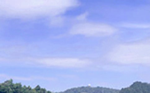 2024���ܰ���簲΢�ņ����Z�R��42��