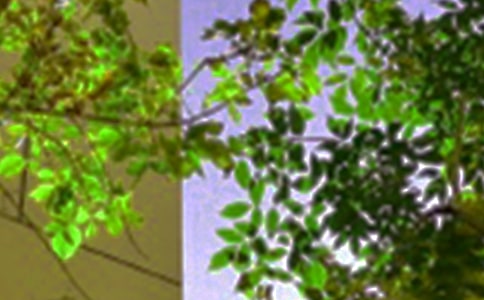 2021��Ψ�����簲�����Z����ժ�43�l