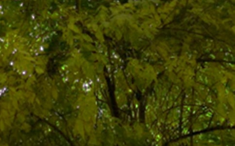 �����簲�Z䛅R����ͨ��80�䣩