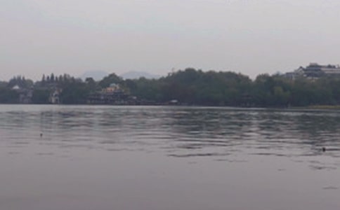 �P���茑����������Ԋ��