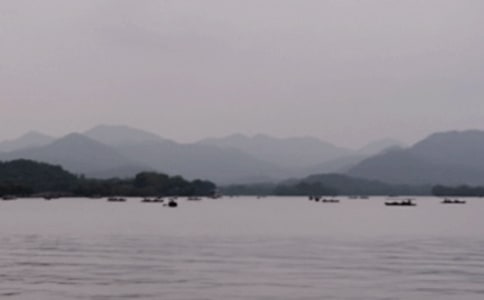 �P(gu��n)�������Ĺ�Ԋ