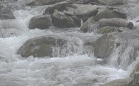 �x��СϪ���ĸ衷�и�