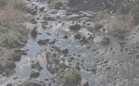 上個(gè)世紀(jì)的飛雪和溪流現(xiàn)代文閱讀附答案