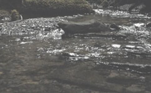 ��СϪ���ĸ衷��x���⼰��