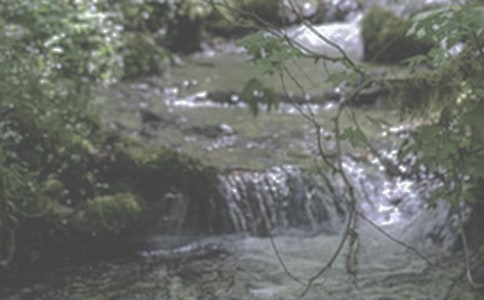 �����е�Ϫ��Ԋ���p��