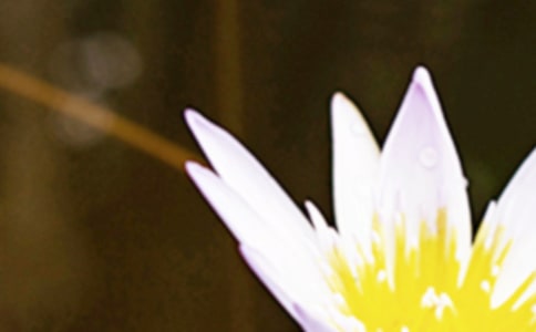 ���P�����ĳ��Z�������ă�