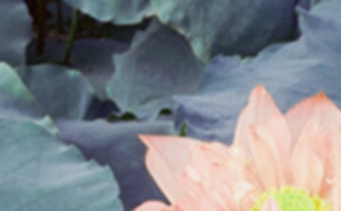 �����p�ɻ��f�f�����x135�䣩