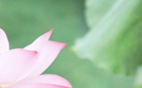 2022����������ӣ����x170�䣩