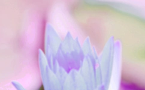 ����Ψ���f�f�����x400�䣩