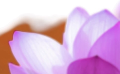 ΢������Ȧ����ף���Z���x