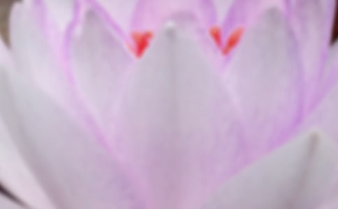 �x������δ�����и�