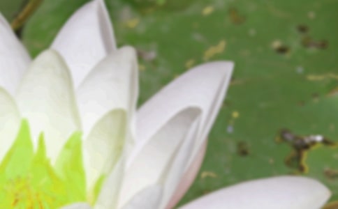 ���P�������f�f�����x170�䣩