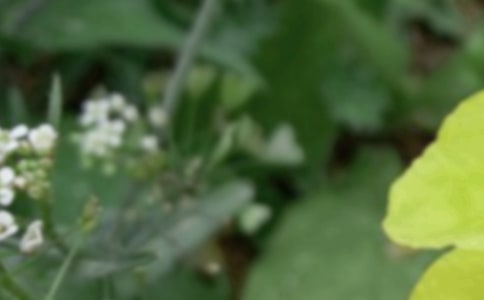 ����������������