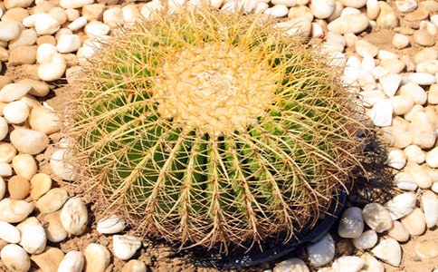 �^����������ӛ��ͨ��10ƪ��