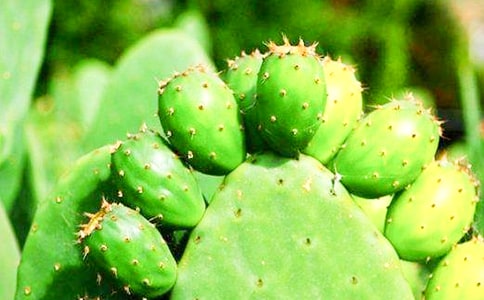 ��������x��