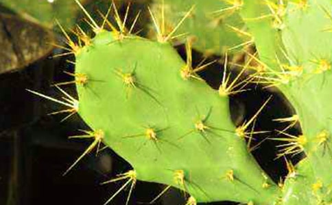 ������Ԋ��