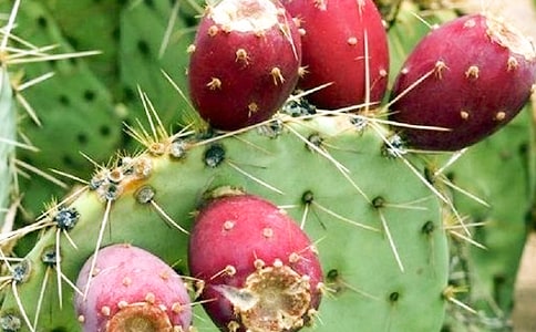 ����������8ƪ���؂䡿