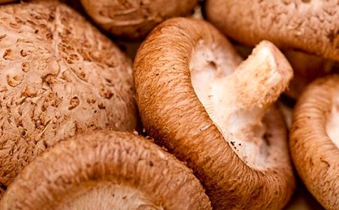 藍瘦香菇是什么意思