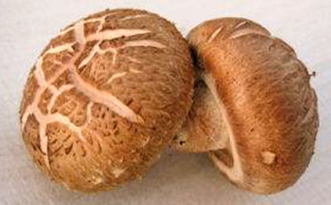 2016��W(w��ng)�j(lu��)���и������{(l��n)���㹽�����~