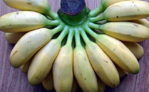 �а��Z�ԃ��|�n�̰����㽶�m�