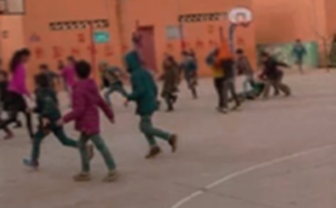 美麗的鄉(xiāng)村小學(xué)作文