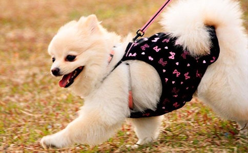 ��С�����ܡ��̌W(xu��)�O(sh��)Ӌ(j��)