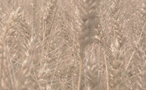 ����W��С���������ӛ300��