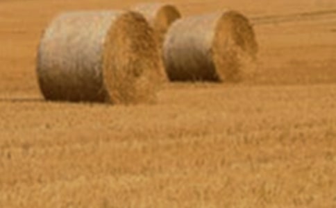 С��ُ�N��ͬ(����15ƪ)