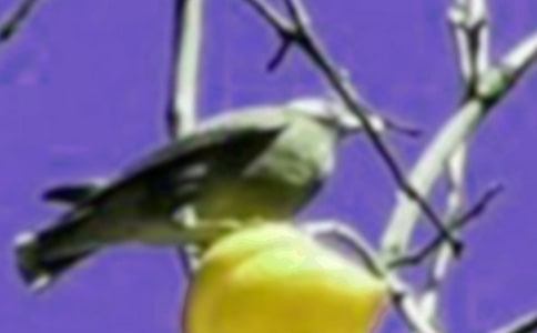 С�B�^����ӛ��ͨ��51ƪ��