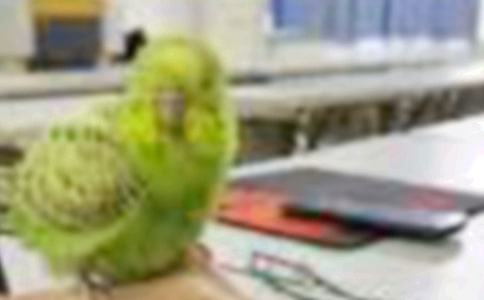 С�B���J�����Ҽ�