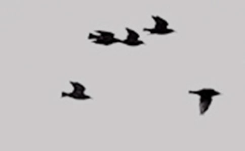 �����Һ�С�Bһ���w��-С�W��Ԋ��