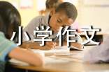 球迷老爸小學作文350字