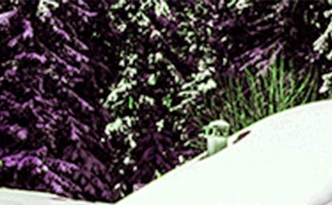 �׃��@Сѩ��(ji��)�����}���(d��ng)�̰�ģ�壨���x5ƪ��