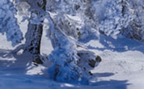 Сѩ���პ��Ԋ��